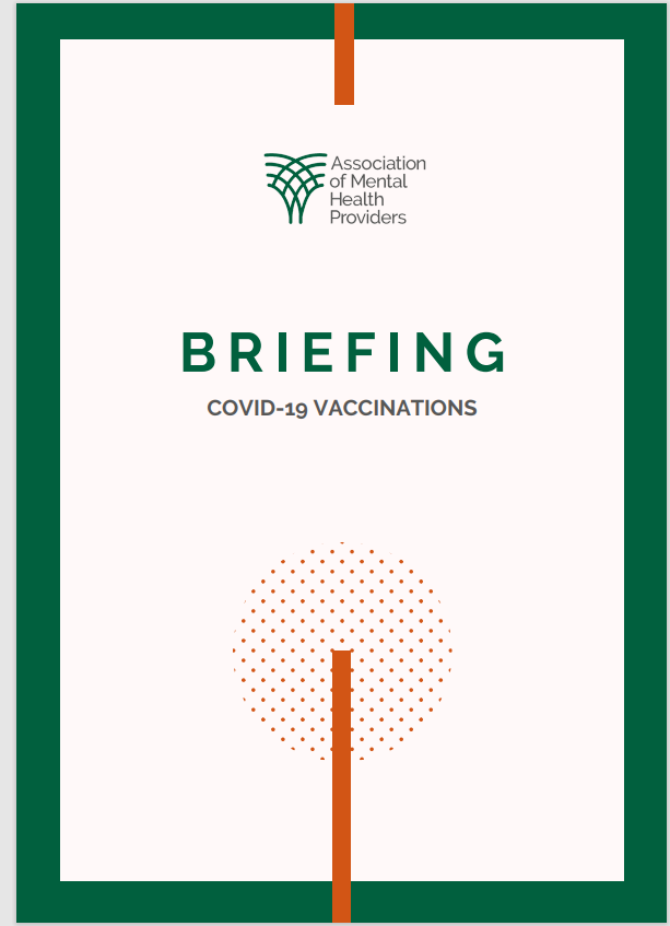 Covid-19 Vaccine Briefing – cover