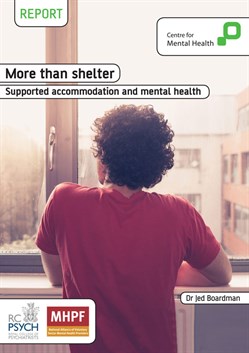 More than Shelter – A Literature Review – cover