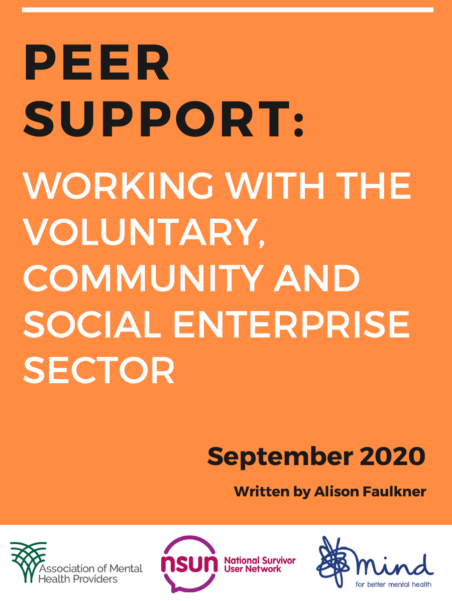 Peer Support: Working with the VCSE Sector – cover